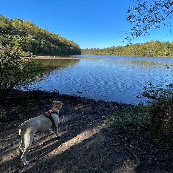 Meet your Posher, Julie - Picture 10 of 14